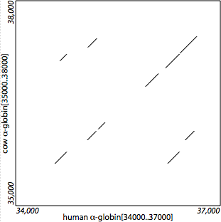 alpha-globin: HSPs (closeup)