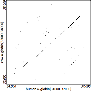 alpha-globin: seeds (closeup)