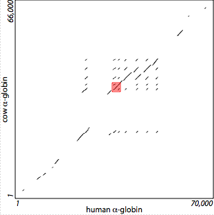 alpha-globin: gapped blocks