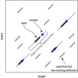 seeds, HSPs, and anchors
