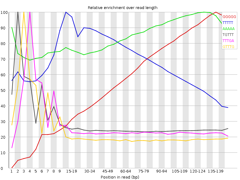 Kmer graph